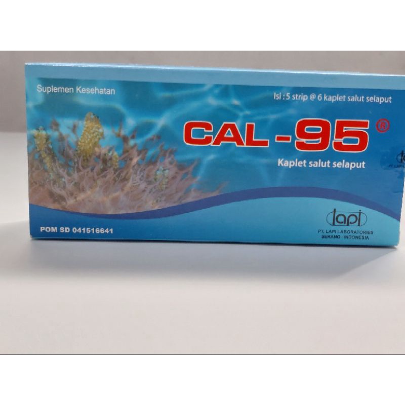 CAL 95 / Cal-95