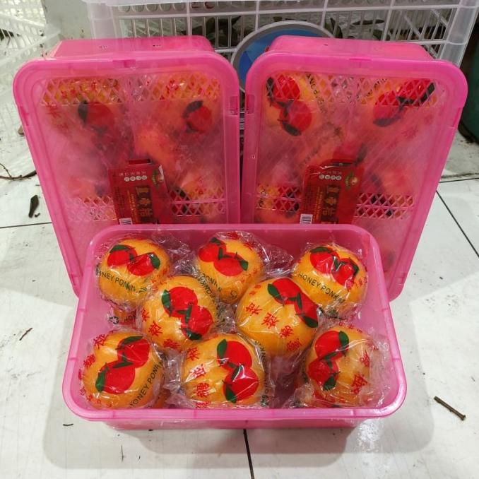 

Murah 2 Box Buah Gift Jeruk Santang Daun Birma Parcel Imlek Sinchia Limited Edition