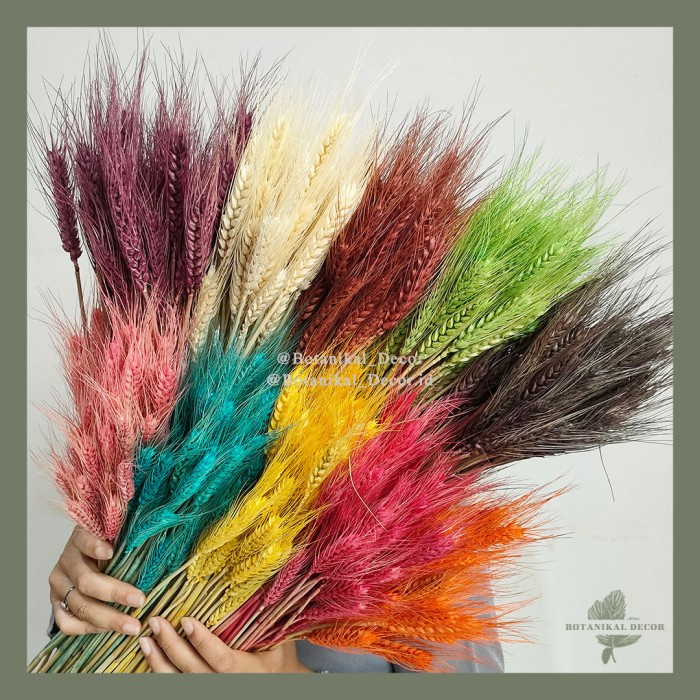 Preserved Wheat Bunga Tanaman Gandum Padi Hias Hias Dekor Rumah Pesta