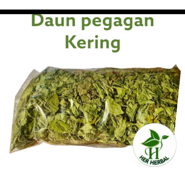 

jual daun pegagan kering daun saja per bungkus siap pakai