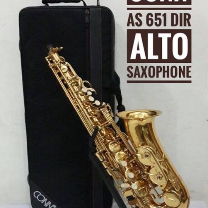 

✨Sale Alto Saxophone Conn As651Dir By Conn-Selmer / Free Stand Reed Diskon