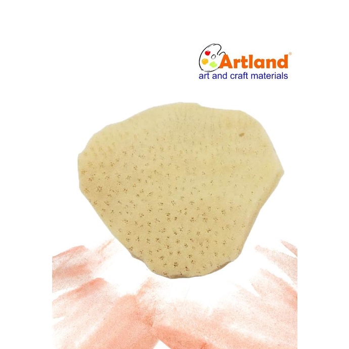 

Trend ] Sponge Elant Ear 3,5-4,5In Limited Edition