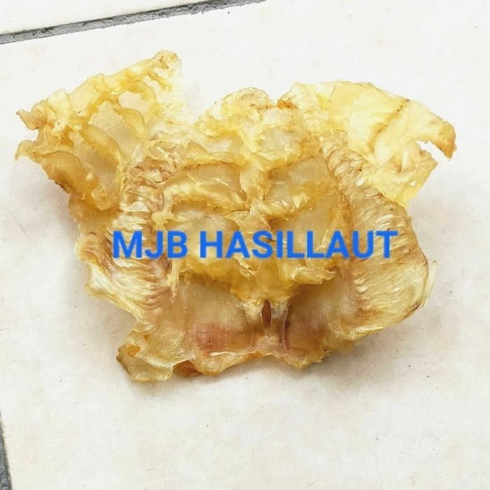 

gelembung manyung, yi phiau, perut ikan, lambung ikan, hupio, 1kg