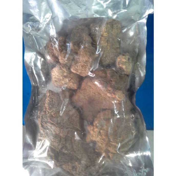 Kualitas terbaik] Jamur susu harimau