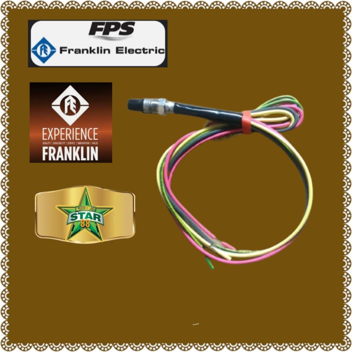 Terbaru Kabel Socket Pompa Satelit Franklin 2Hp 4Spm5/17 1Phase 3Phase 3Hp 5M Diskon
