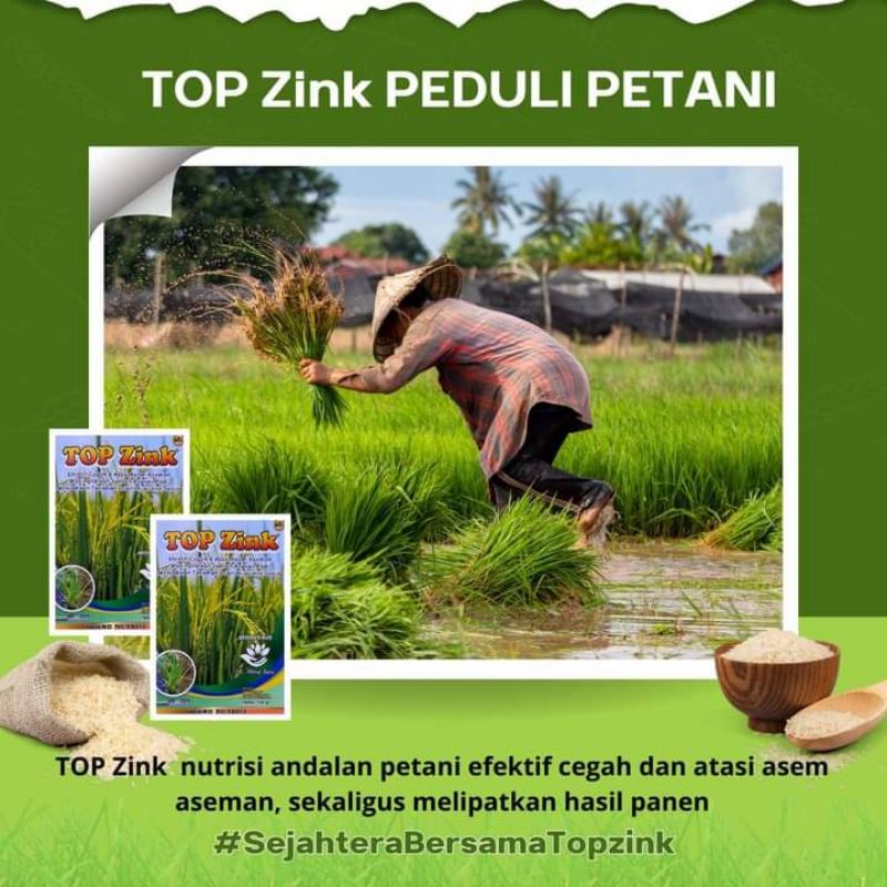 TOP ZINK 150gram Pupuk Penyubur Tanaman Terbaik Untuk Mengobati Asem Aseman & Perbanyaj Anakan Padi