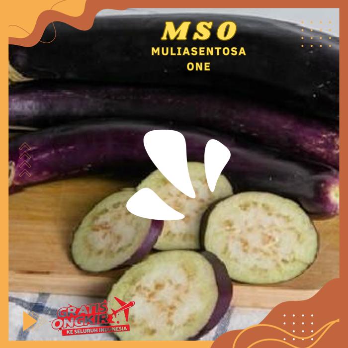 

TERONG UNGU 240 - 250 GR PODUK BAHAN BERKUALITAS !!