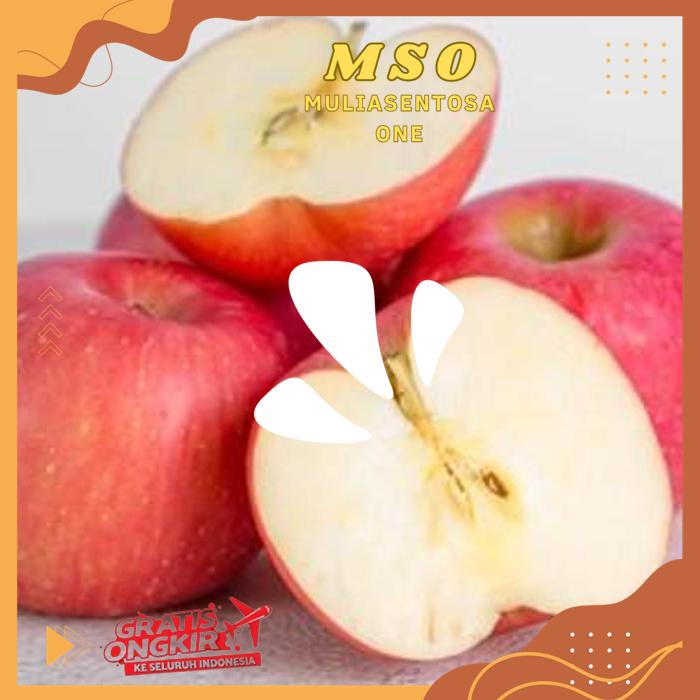 

APEL FUJI 800 - 900 GR PODUK BAHAN BERKUALITAS !!