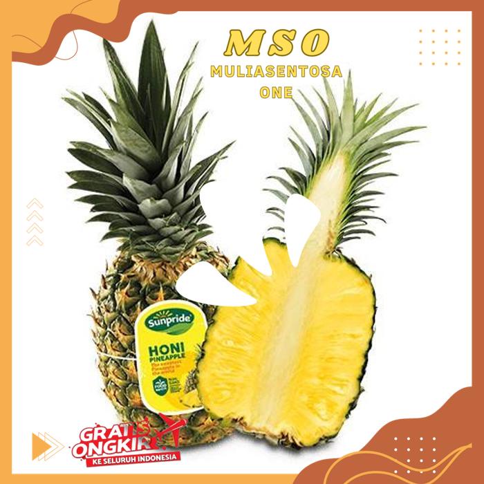 

NANAS HONI 1 PCS ( FRESH HONI PINEAPPLE ) PRODUK KUALITAS BERKELAS !!