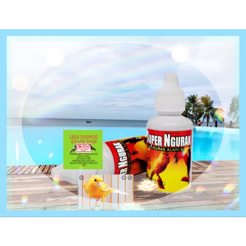 super ngurak vitamin burung obat perontok bulu burung nyulam ayam mabung zenka perontok super n