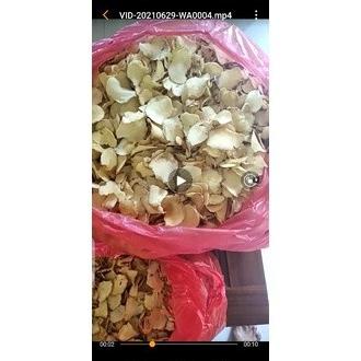 

NEW PRODUK DISKON KRIPIK GAYAM KHAS TUBAN RENYAH & GURIH BAWANG !!!!!