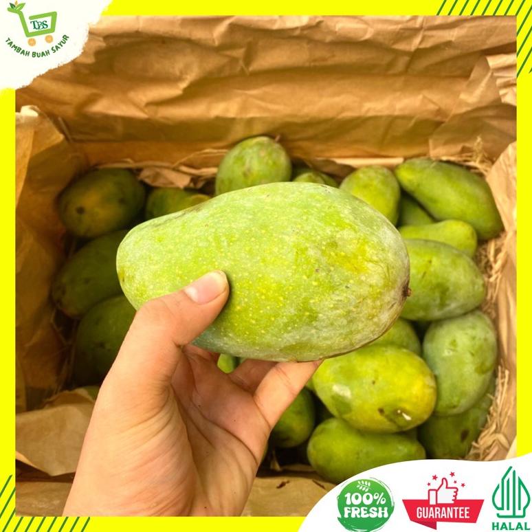 

Ready BUAH MANGGA HARUM MANIS SUPER 1 KG (KHUSUS SAMEDAY DAN INSTAN)