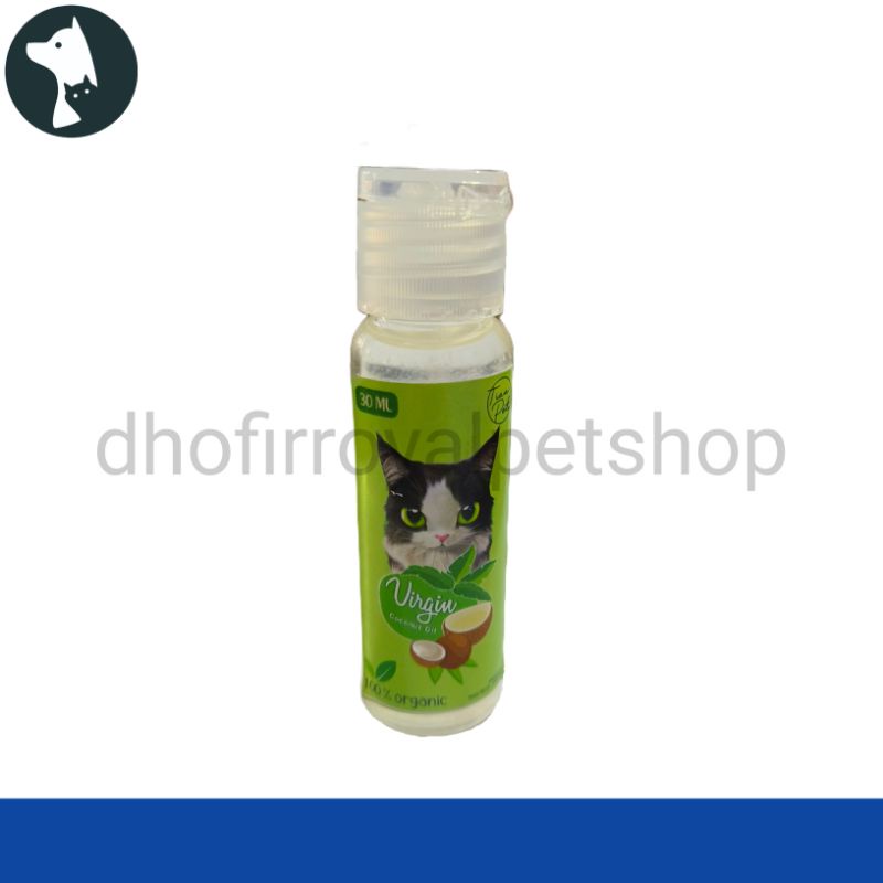 vco oil untuk jamur pada kucing