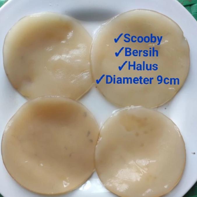 

Flash Sale - Bibit Scoby Jamur Kombucha