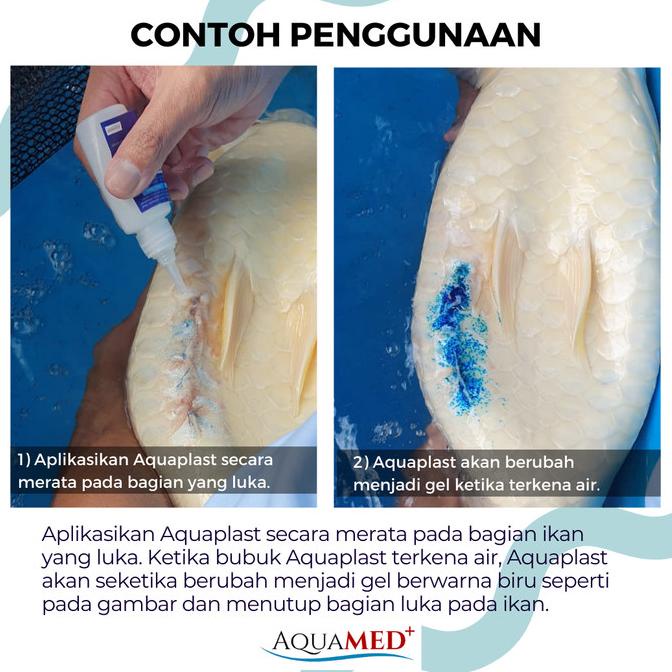 AQUAPLAST Fish Bandage Obat Luka Ikan Koi Arwana Ulcer Bakteri Aquamed