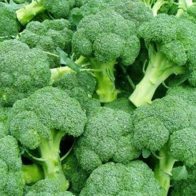 

Ready Brokoli 500 gr