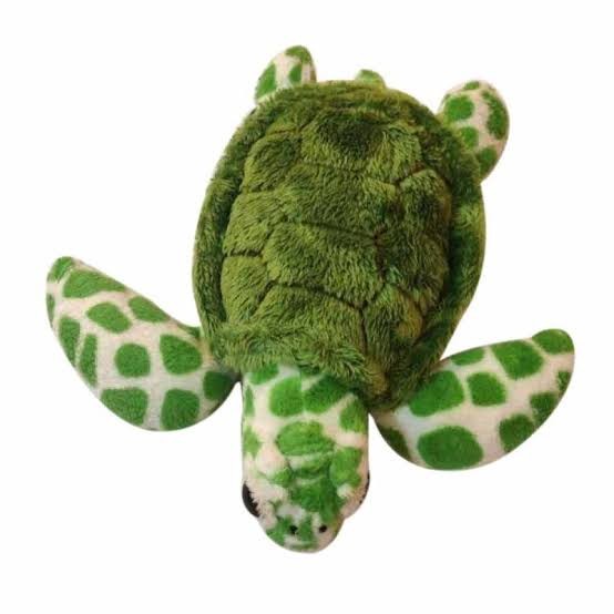 boneka kura kura lucu