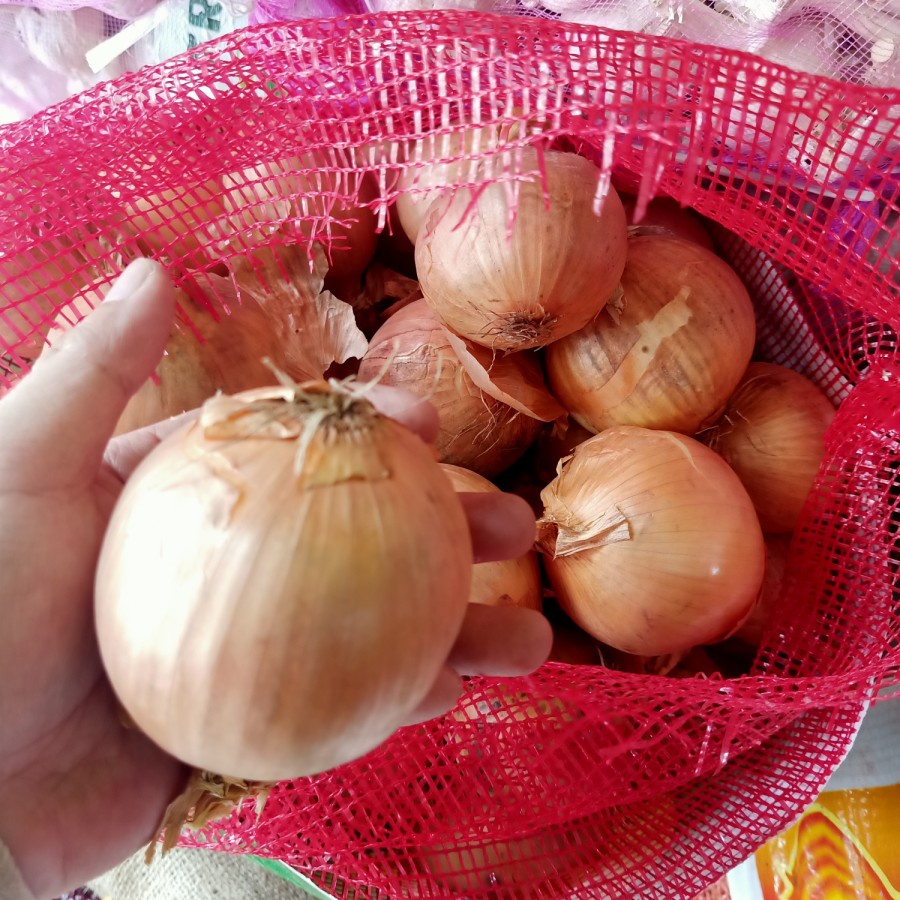 

Bawang Bombay Besar (60/80) -750 gram