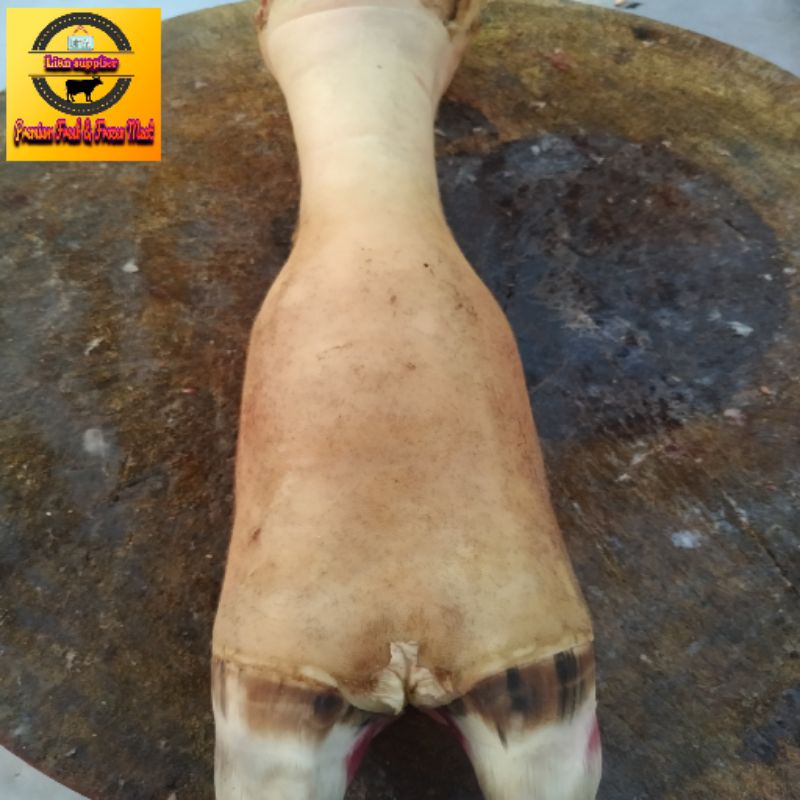

kaki sapi/tunjang fillet