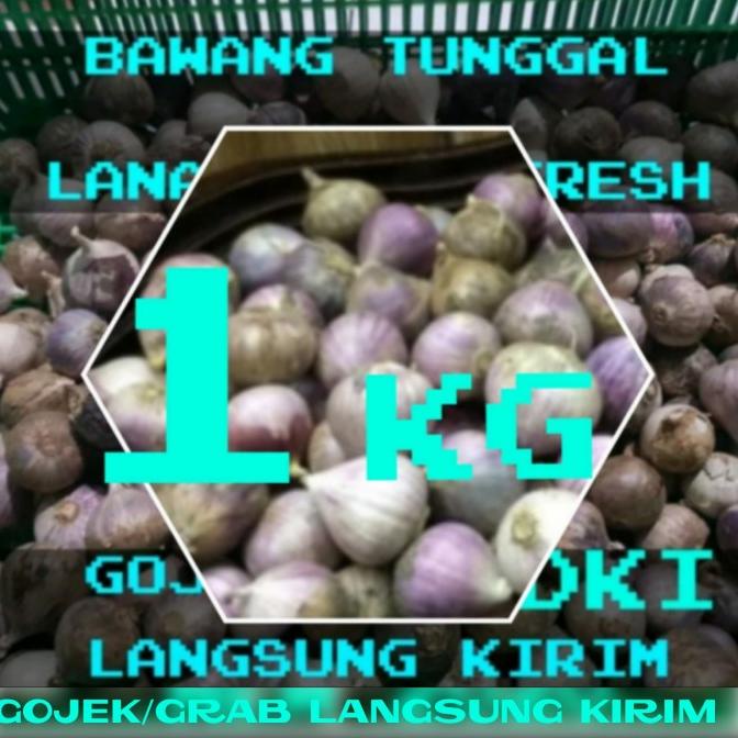 

bawang putih tunggal-bawang lanang herbal 1kg