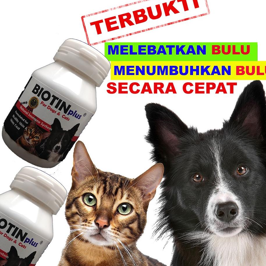 Biotinplus Vitan Bulu Kucing Anjing Cat Dog Umbuh Bulu Rontok Obat Yakit Kulit Anti Rontok