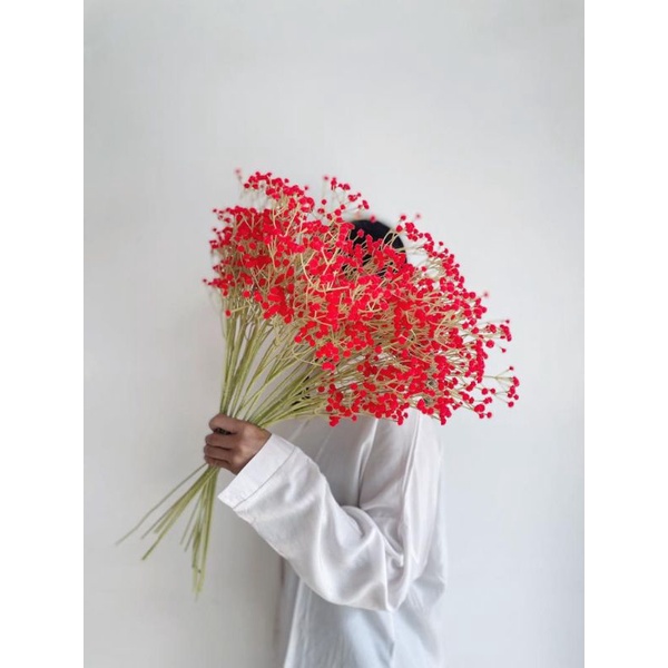 Baby breath warna | Baby breath artificial