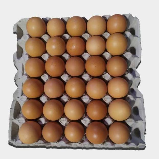 

Telur Negri Lokal Fresh 1 tray isi 30 butir_seksibanget