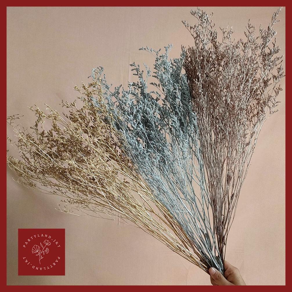 Dried Caspea Lovergras Hiasan Bunga Kering Preserved Flower Dry Flower Dried Flower
