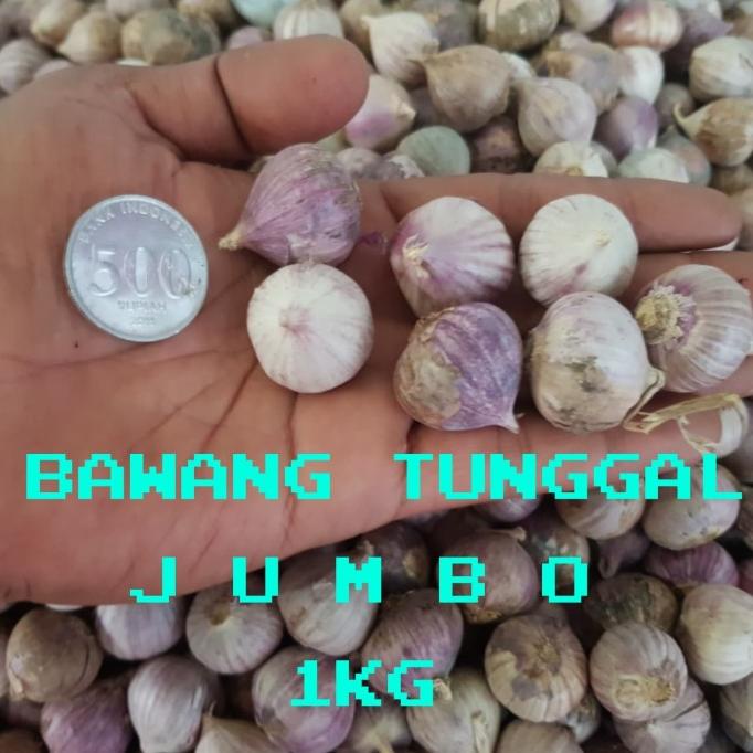 

BAWANG PUTIH TUNGGAL/BAWANG LANANG SUPER UKURAN BESAR 1 KG