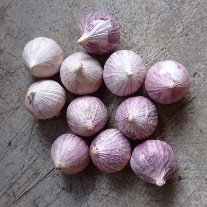 Bawang Putih Tunggal Lanang - 1 KG Fresh - Ukuran Cocok Black Garlic