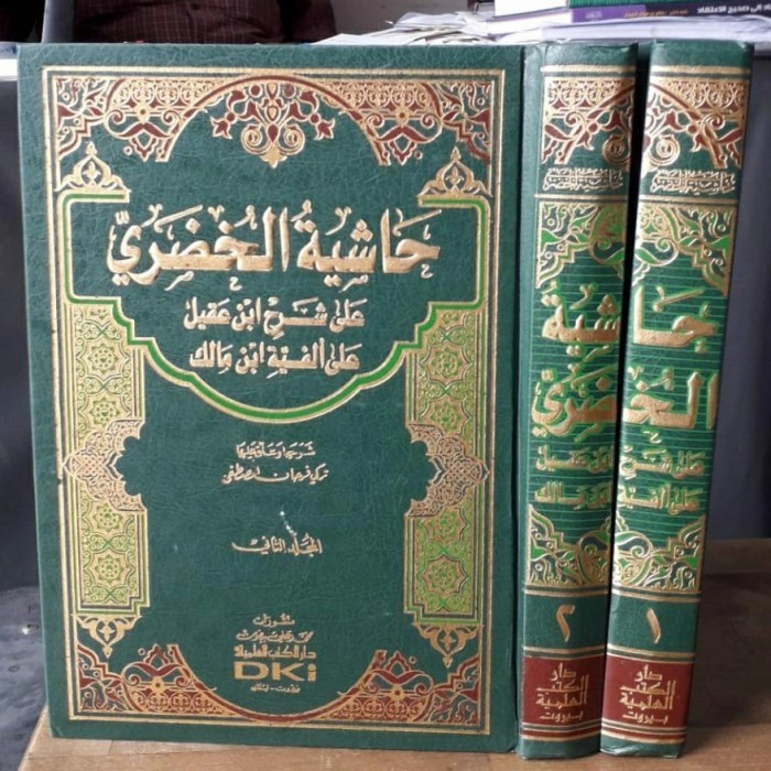 Kitab Hasyiyah al Khudlori ala Syarah Alfiyah Ibnu Aqil / Khudori DKI
