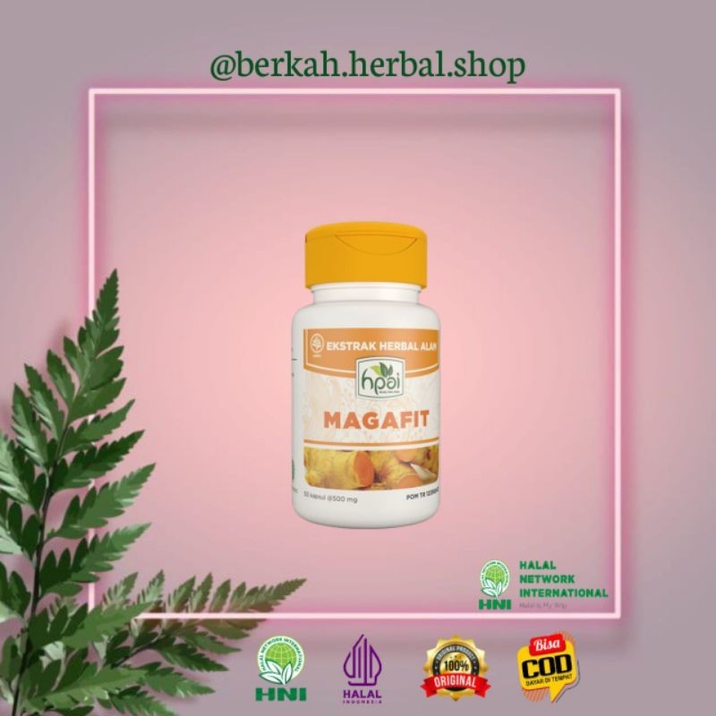 Magafit HNI HPAI || Membantu Meredakan Asam Lambung dan Maag