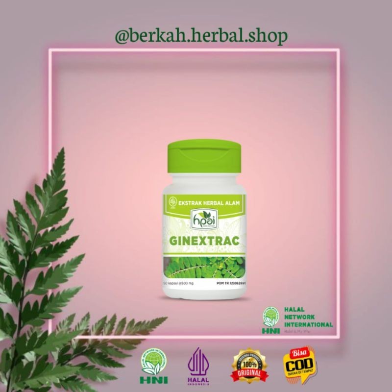 Ginextrac HNI HPAI || Membantu Meluruhkan Batu Ginjal