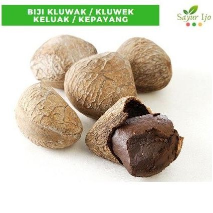 

Termurah Biji Kluwak / Kluwek 100 Gram Fresh Keluak Kepayang Rempah Bumbu Rawon