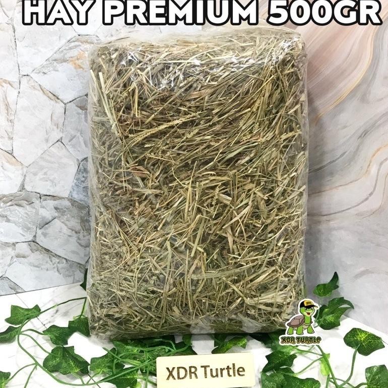Promo Akhir Tahun Hay Premium 500Gr Rumput Makanan Tortoise Kura Darat Sulcata Aldabra Pardalis Ista
