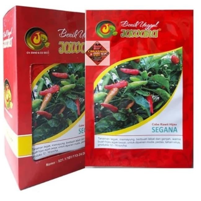 Terbaru benih bibit cabe rawit hijau segana produk jawara