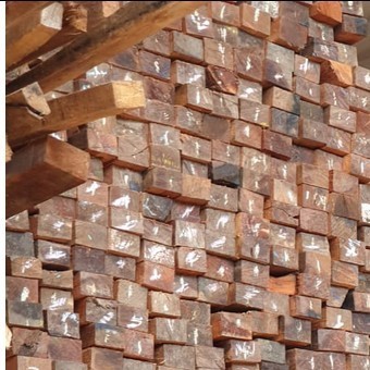 Kayu Reng 3X4 Rengas Tembaga 4Mtr Best