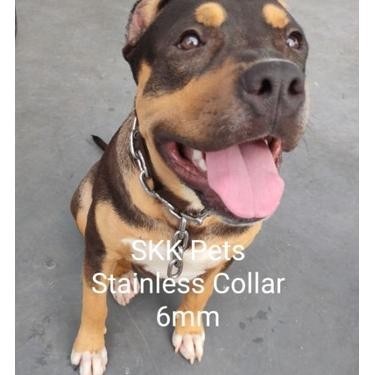 Kalung Anjing / Collar Stainless Steel Ras Besar (Pitbull,Rott,Bully,Dll)