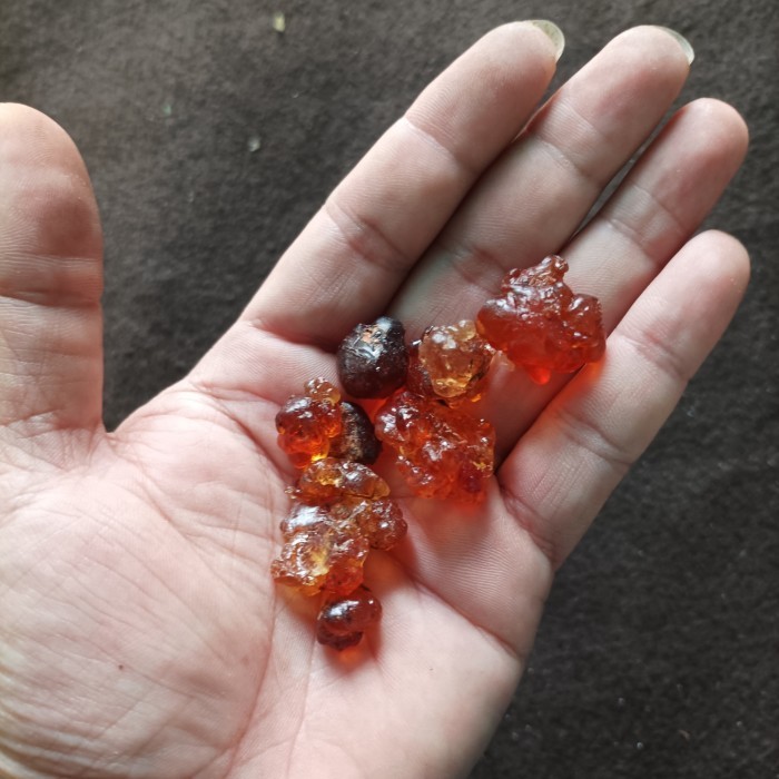 

1KG 1 KG 1000 G GR GRAM NATURAL PEACH GUM RESIN TAOJIAO TAO JIAO