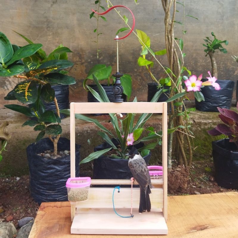 PROMO KANDANG Sangkar Layang COD Burung Kutilang Trucuk Perkutut Burung Peliharaan Kandang Burung