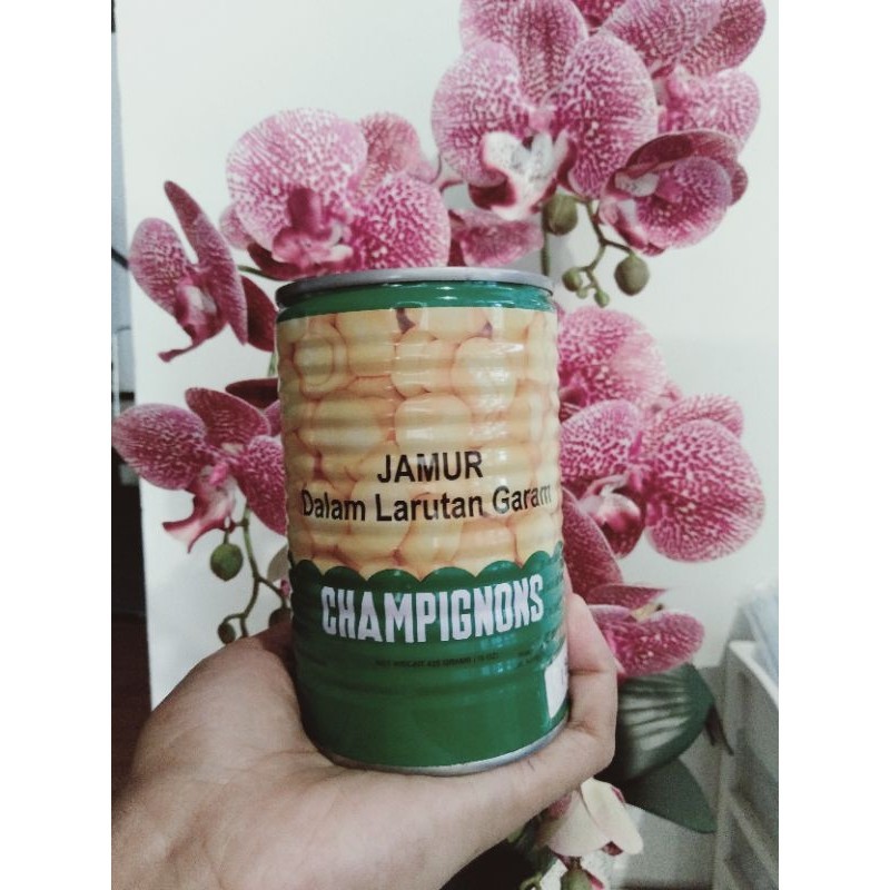 

Jamur Champignon MKH