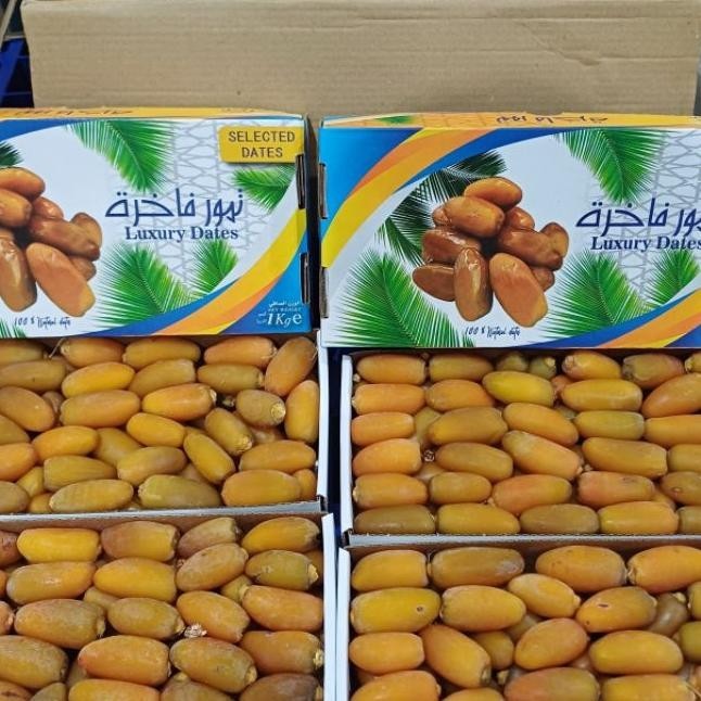 

Kurma Ruthob Libya 1Kg Kurma Setengah Matang Panen Terbaru