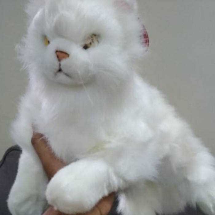 BONEKA KUCING ANGGORA