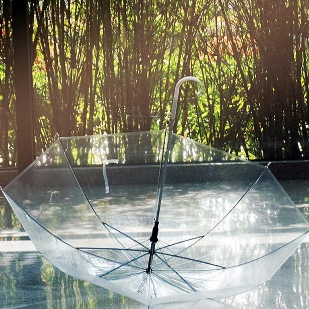 Payung Bening Transparan Payung Jepang Transparan