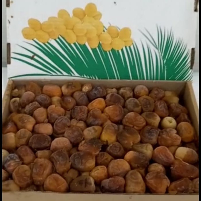 

Kurma - Kurma Sukari 3 Kg