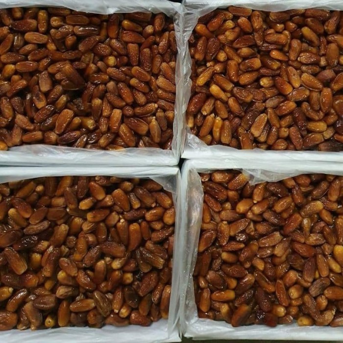 

Kurma - Kurma Tunisia Madu Curah /Kurma Tunisia Grosir