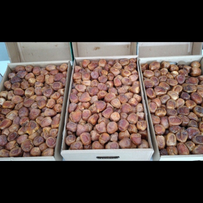 

Kurma - Kurma Sukari Al Qasim 3 Kg