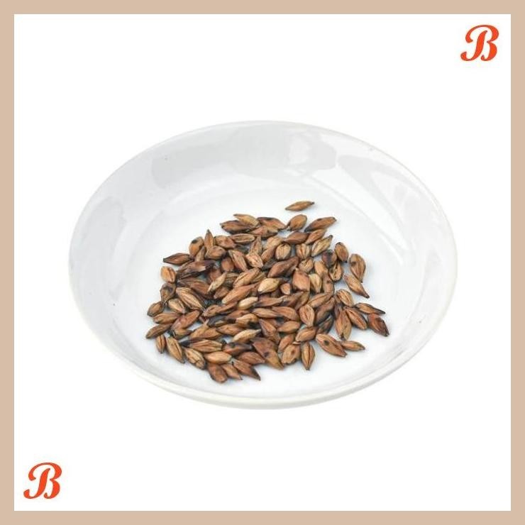 

| HOF | BARLEY TEA TEH BIJI BARLEY