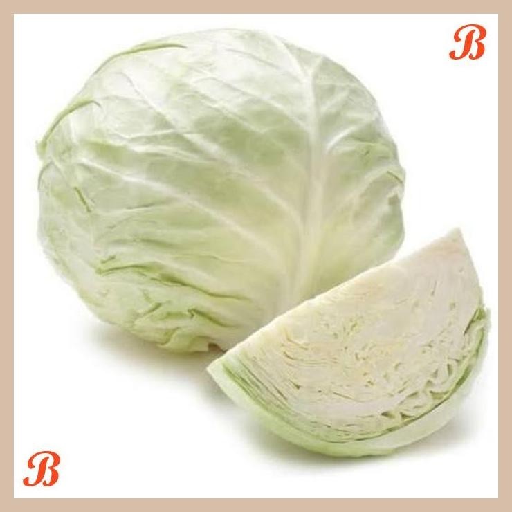 

| HOF | KOL KUBIS PUTIH ( CABBAGE ) 450 - 500 GR