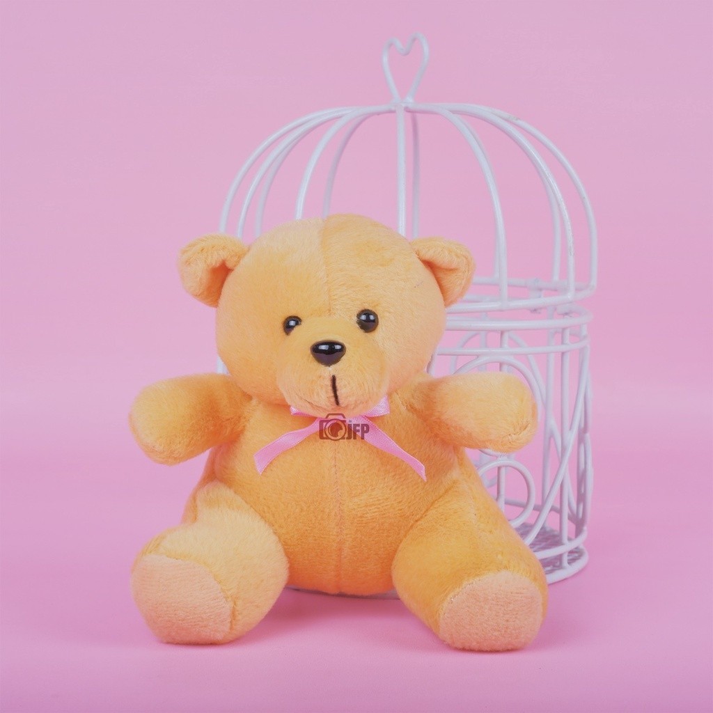 

S57 KADO ULANG TAHUN PACAR CEWEK KADO ULTAH VALENTINE ANIVERSARY WB5